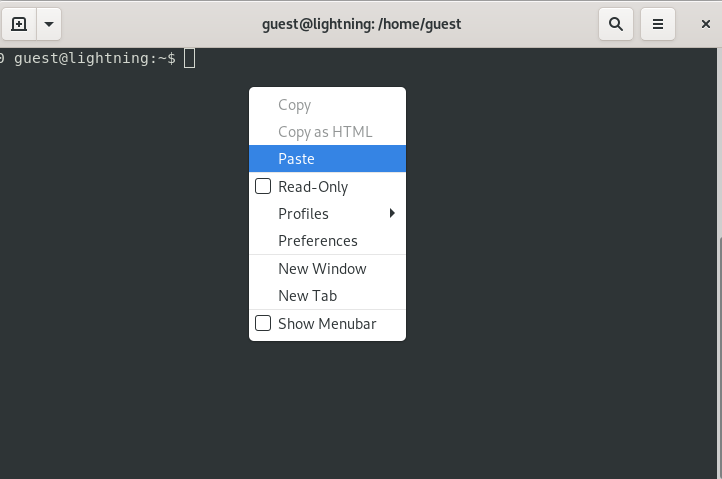 paste in terminal